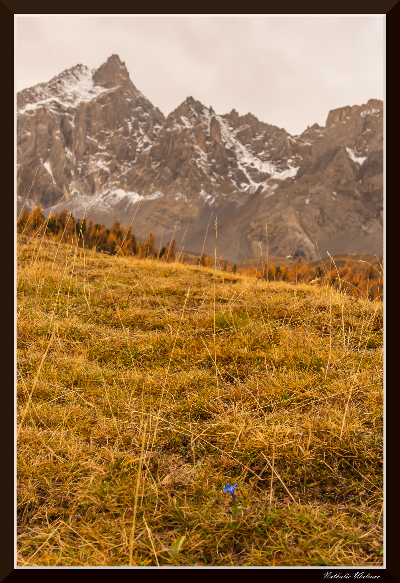 paysage au lac Miroir